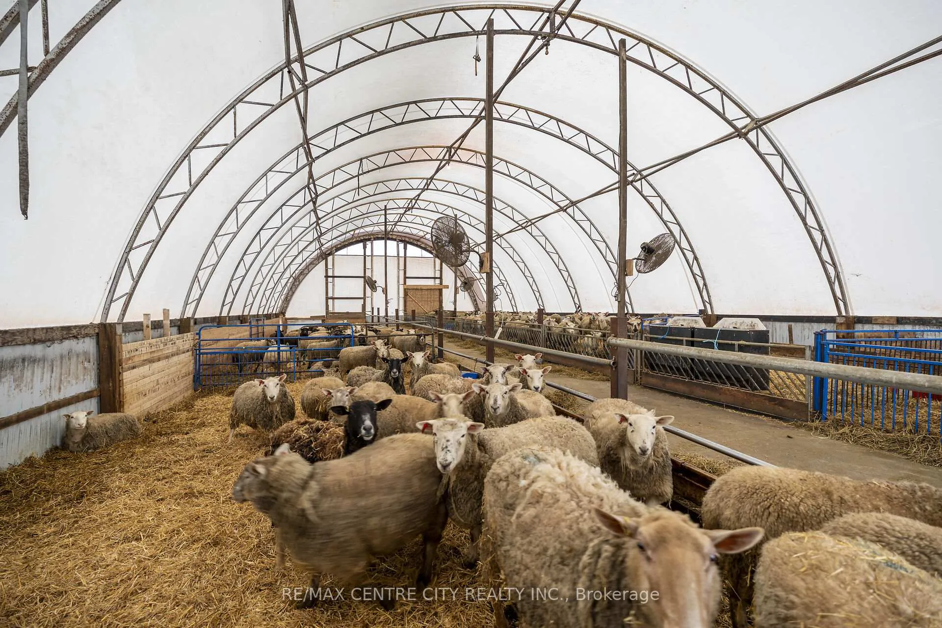 Photo 8 of 54694 Calton Line, Bayham, Rural Bayham — HOMEH