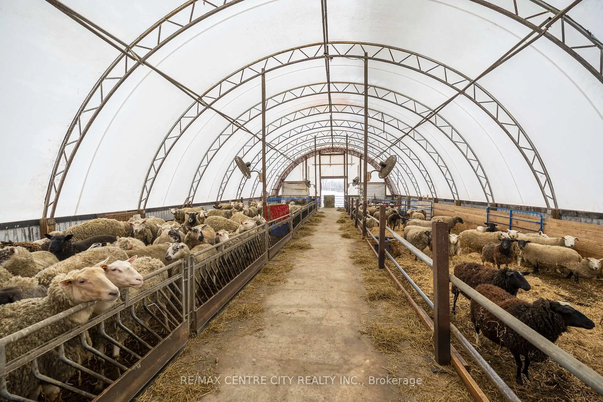 Photo 9 of 54694 Calton Line, Bayham, Rural Bayham — HOMEH