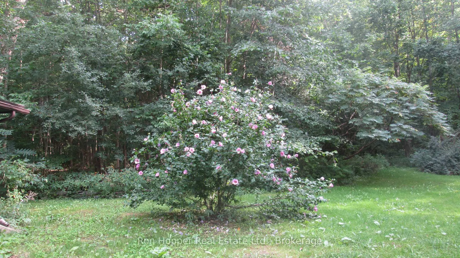 Photo 38 of 140 Sunset Beach Road, Meaford — HOMEH