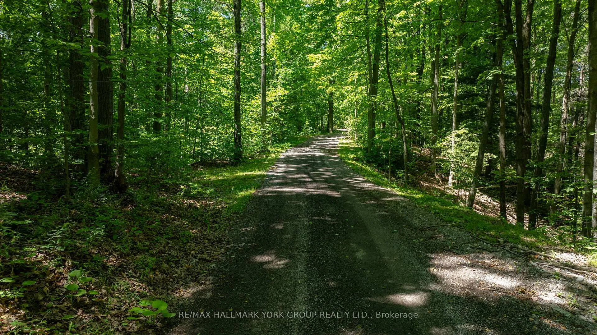 Photo 4 of 4235 17th Side Road, King, Rural King — HOMEH