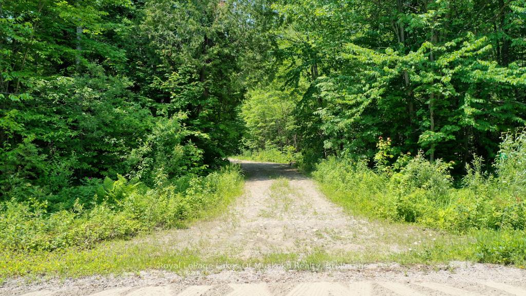 Photo 2 of 22 Buckvale Drive, McMurrich/Monteith, McMurrich — HOMEH