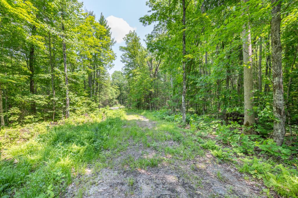 Photo 3 of 22 Buckvale Drive, McMurrich/Monteith, McMurrich — HOMEH