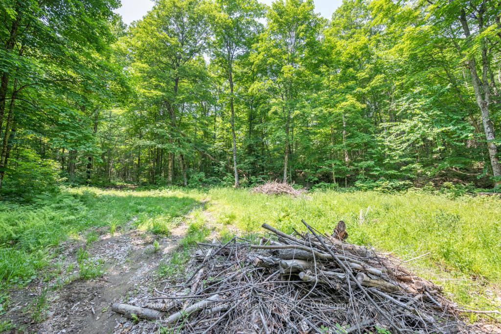 Photo 4 of 22 Buckvale Drive, McMurrich/Monteith, McMurrich — HOMEH