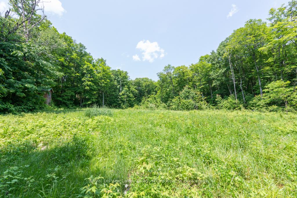 Photo 5 of 22 Buckvale Drive, McMurrich/Monteith, McMurrich — HOMEH