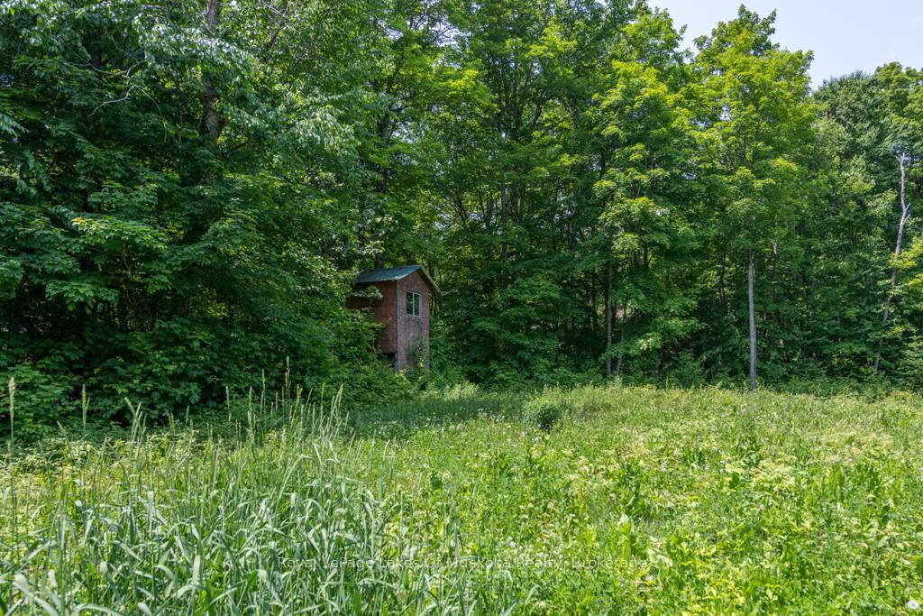 Photo 6 of 22 Buckvale Drive, McMurrich/Monteith, McMurrich — HOMEH