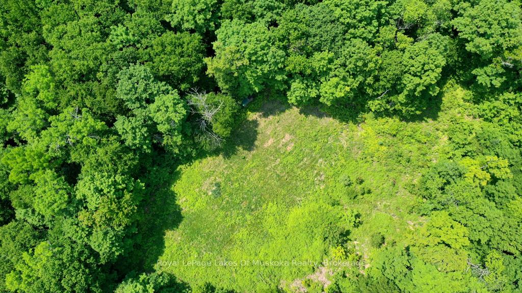 Photo 10 of 22 Buckvale Drive, McMurrich/Monteith, McMurrich — HOMEH