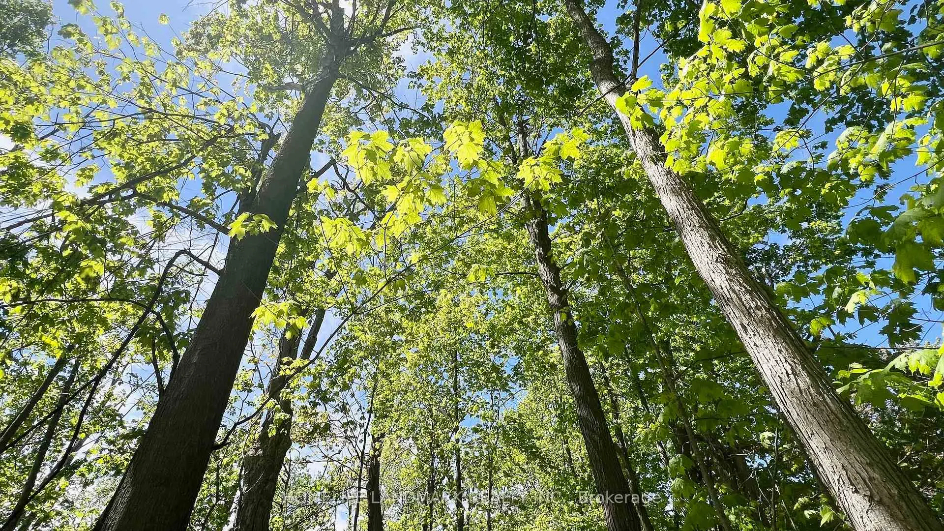 Photo 35 of 688 7th Line S, Oro-Medonte, Rural Oro-Medonte — HOMEH