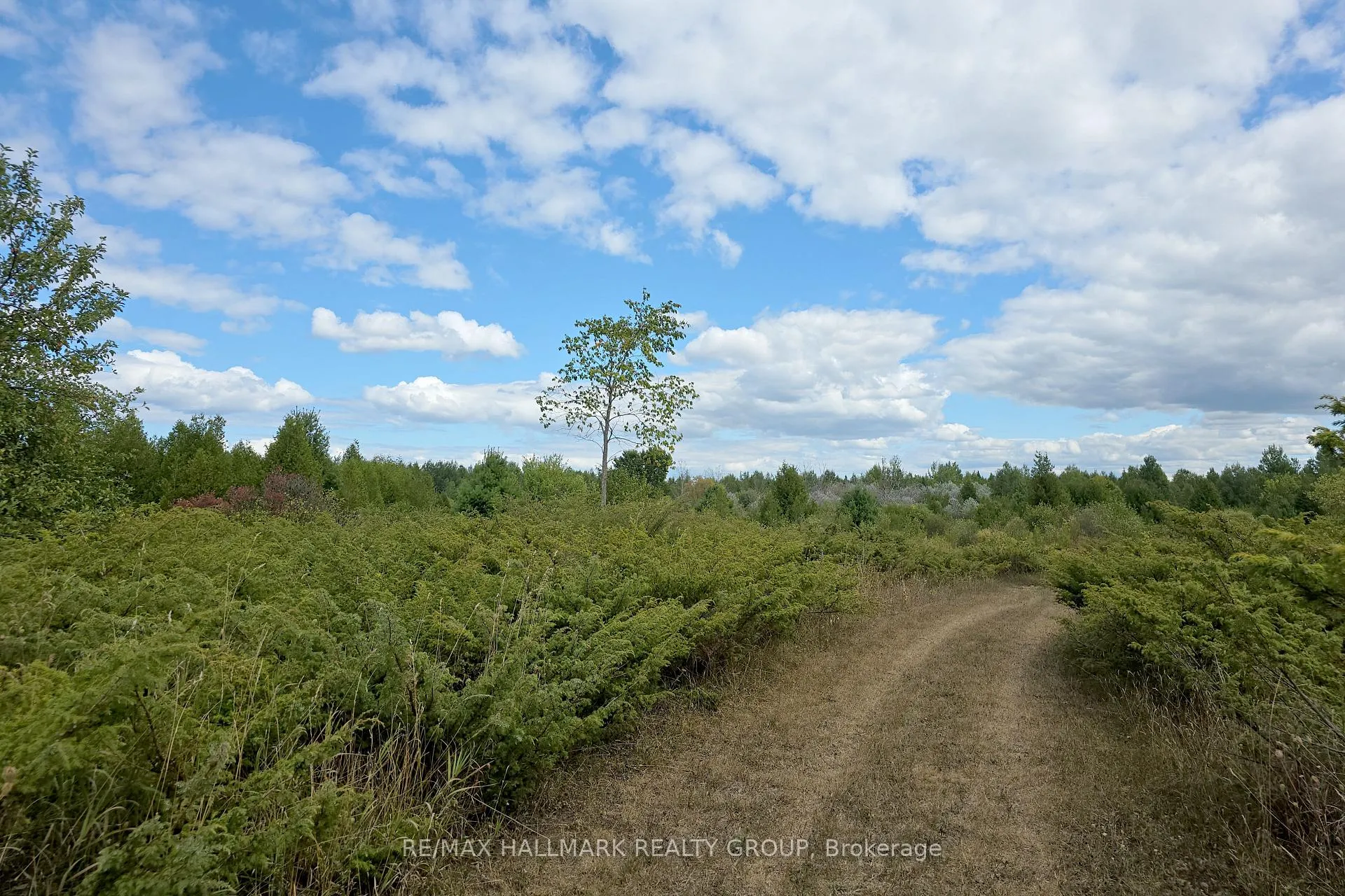 Photo 20 of 00 Upper Dwyer Hill Road, Ottawa, Huntley Ward (South West) — HOMEH