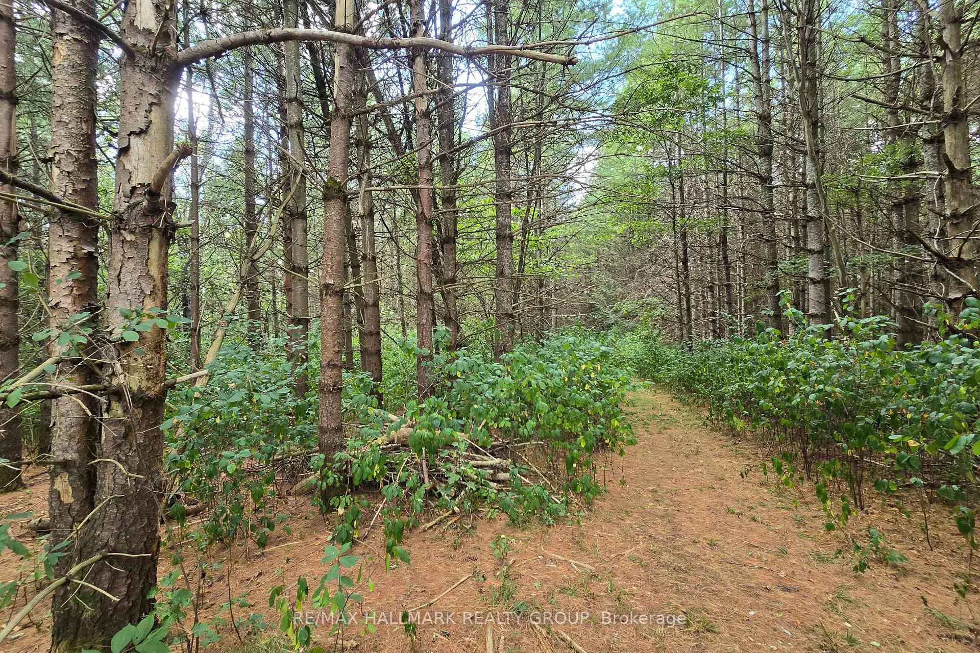 Photo 32 of 00 Upper Dwyer Hill Road, Ottawa, Huntley Ward (South West) — HOMEH