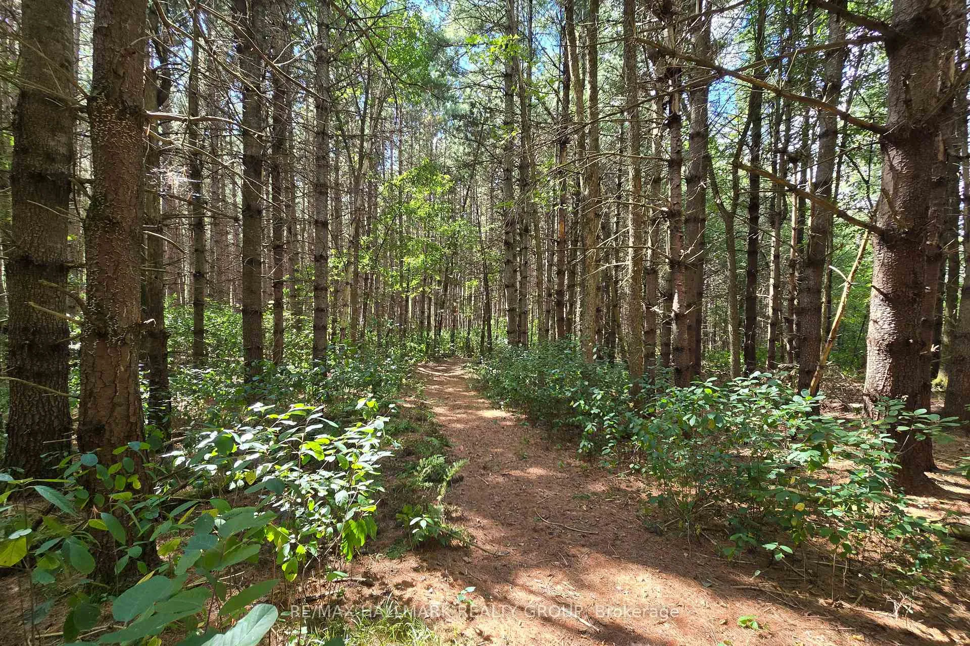Photo 34 of 00 Upper Dwyer Hill Road, Ottawa, Huntley Ward (South West) — HOMEH