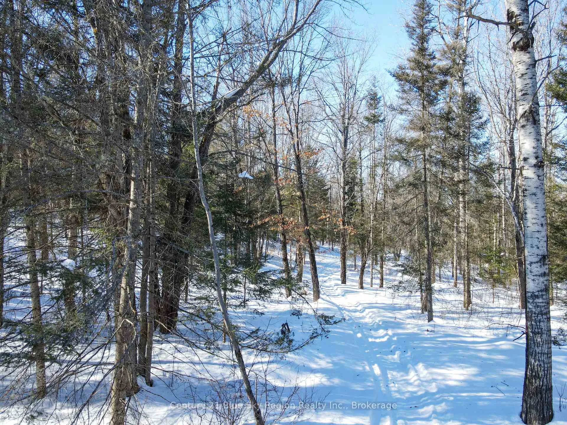 Photo 44 of 272 Lindquist Line, Powassan — HOMEH