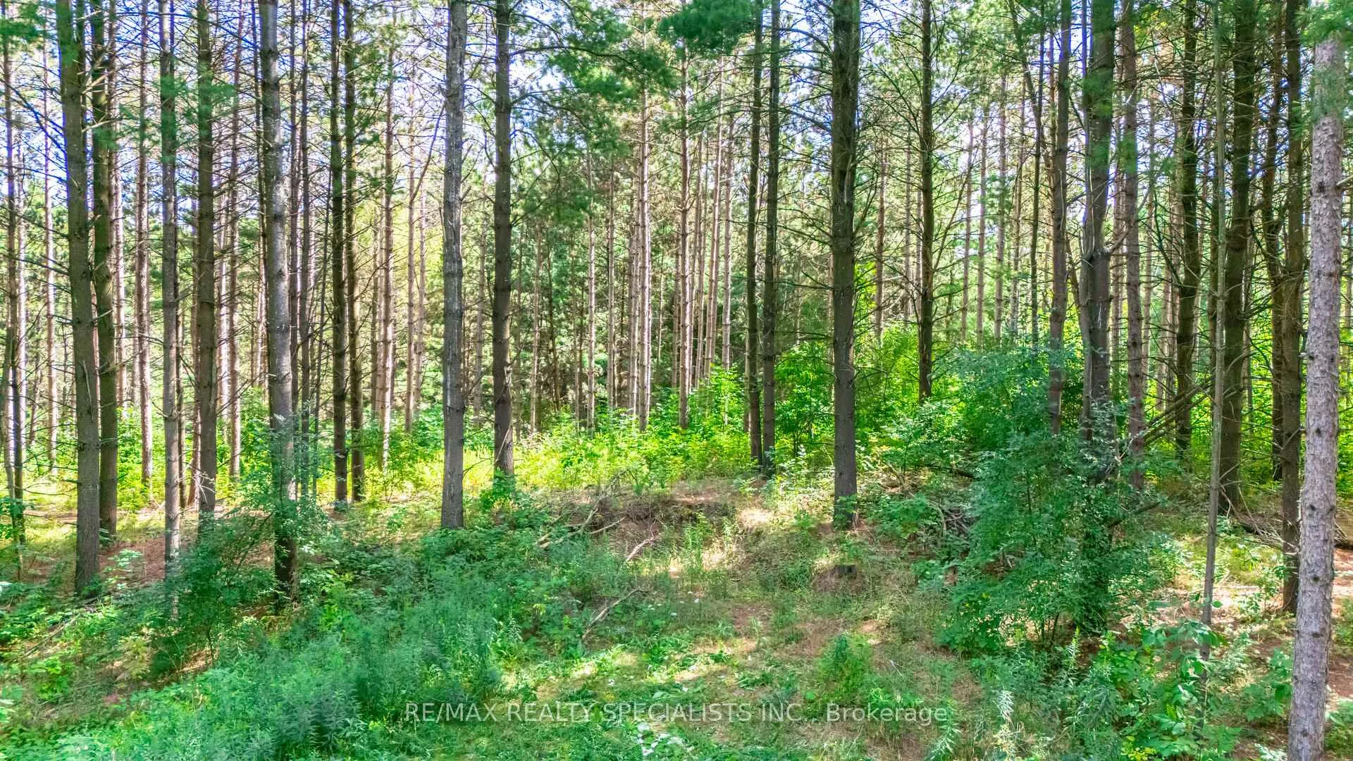 Photo 29 of 18711 The Gore Road, Caledon, Rural Caledon — HOMEH
