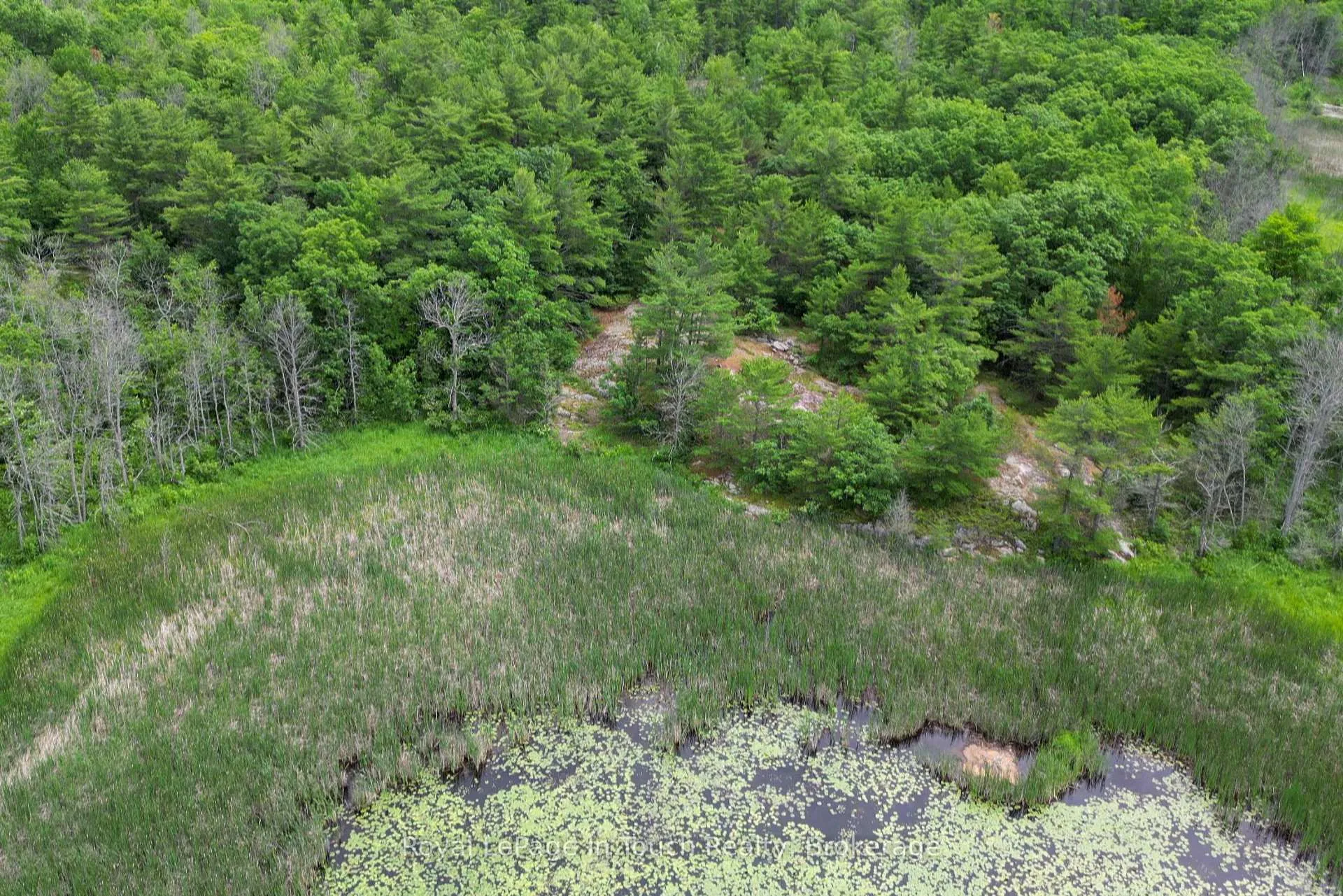 Photo 4 of 180 Prisque Road, Georgian Bay, Baxter — HOMEH