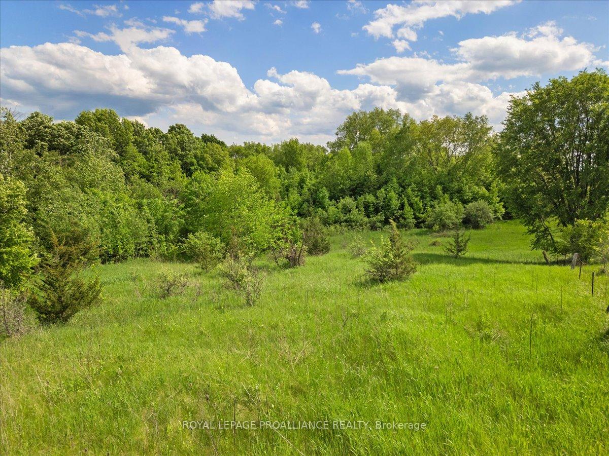 Photo 4 of 350 Cooper Road, Madoc — HOMEH