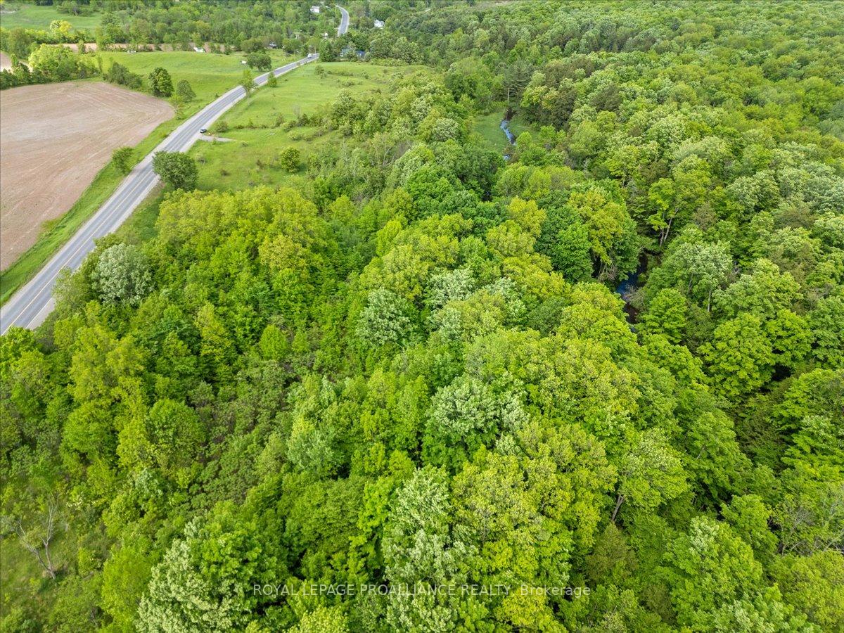 Photo 15 of 350 Cooper Road, Madoc — HOMEH