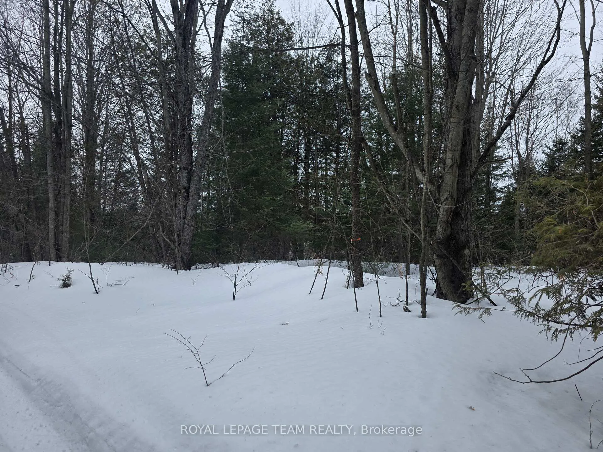 Photo 10 of 00 Maple Hill Road, North Grenville, North Grenville Twp (Kemptville South) — HOMEH