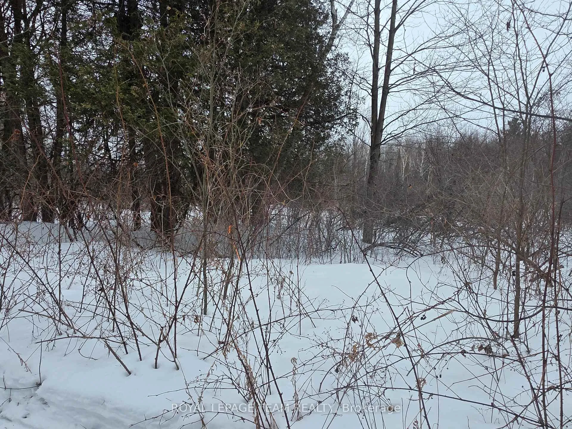 Photo 12 of 00 Maple Hill Road, North Grenville, North Grenville Twp (Kemptville South) — HOMEH