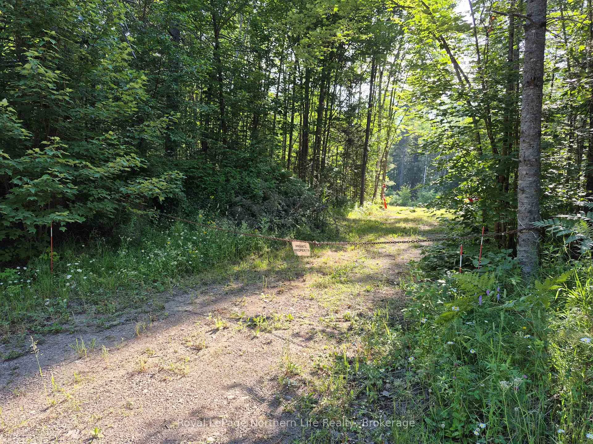 Photo 10 of 446 Burritts Road, Papineau-Cameron, Papineau Cameron — HOMEH
