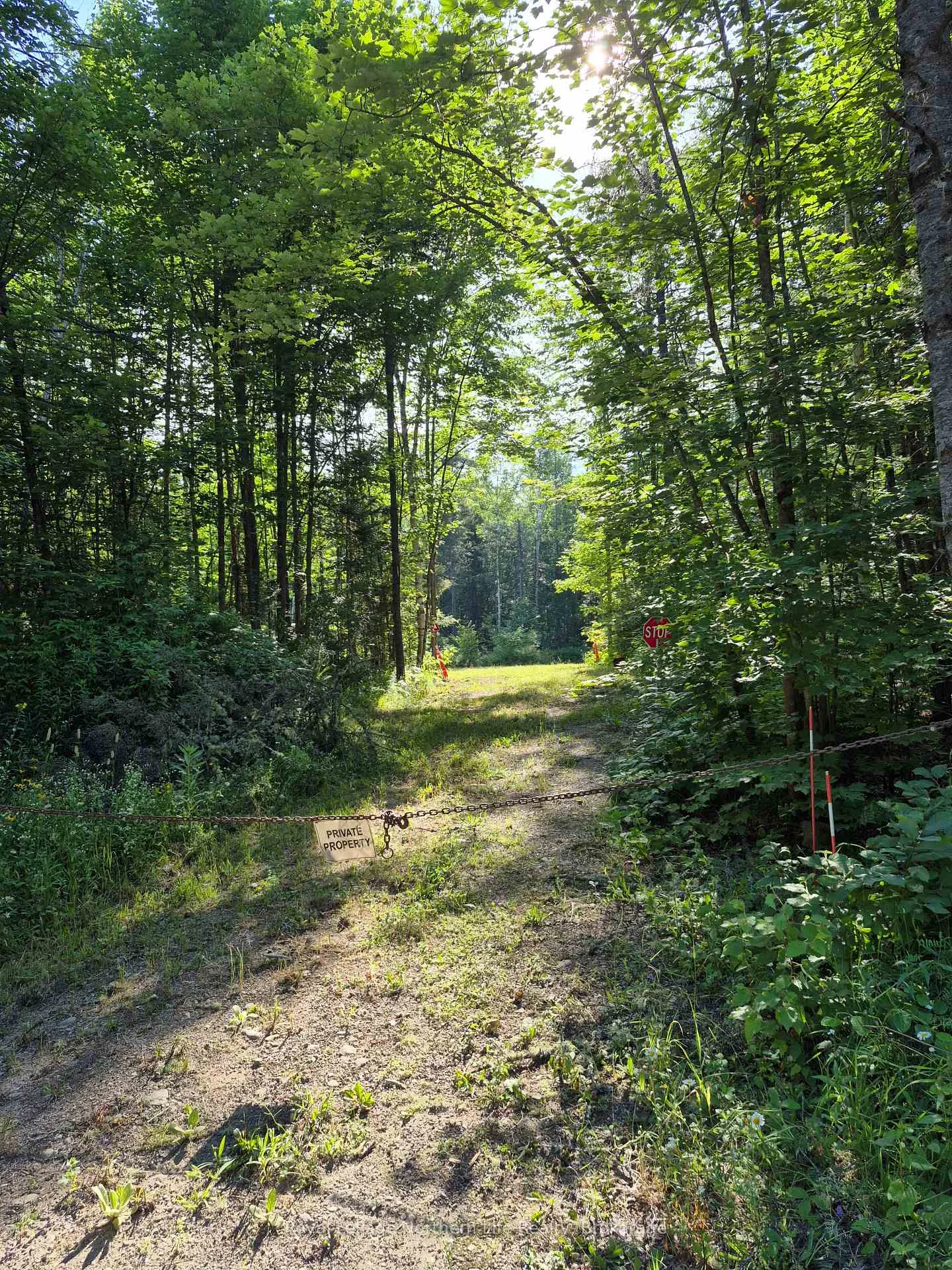 Photo 17 of 446 Burritts Road, Papineau-Cameron, Papineau Cameron — HOMEH