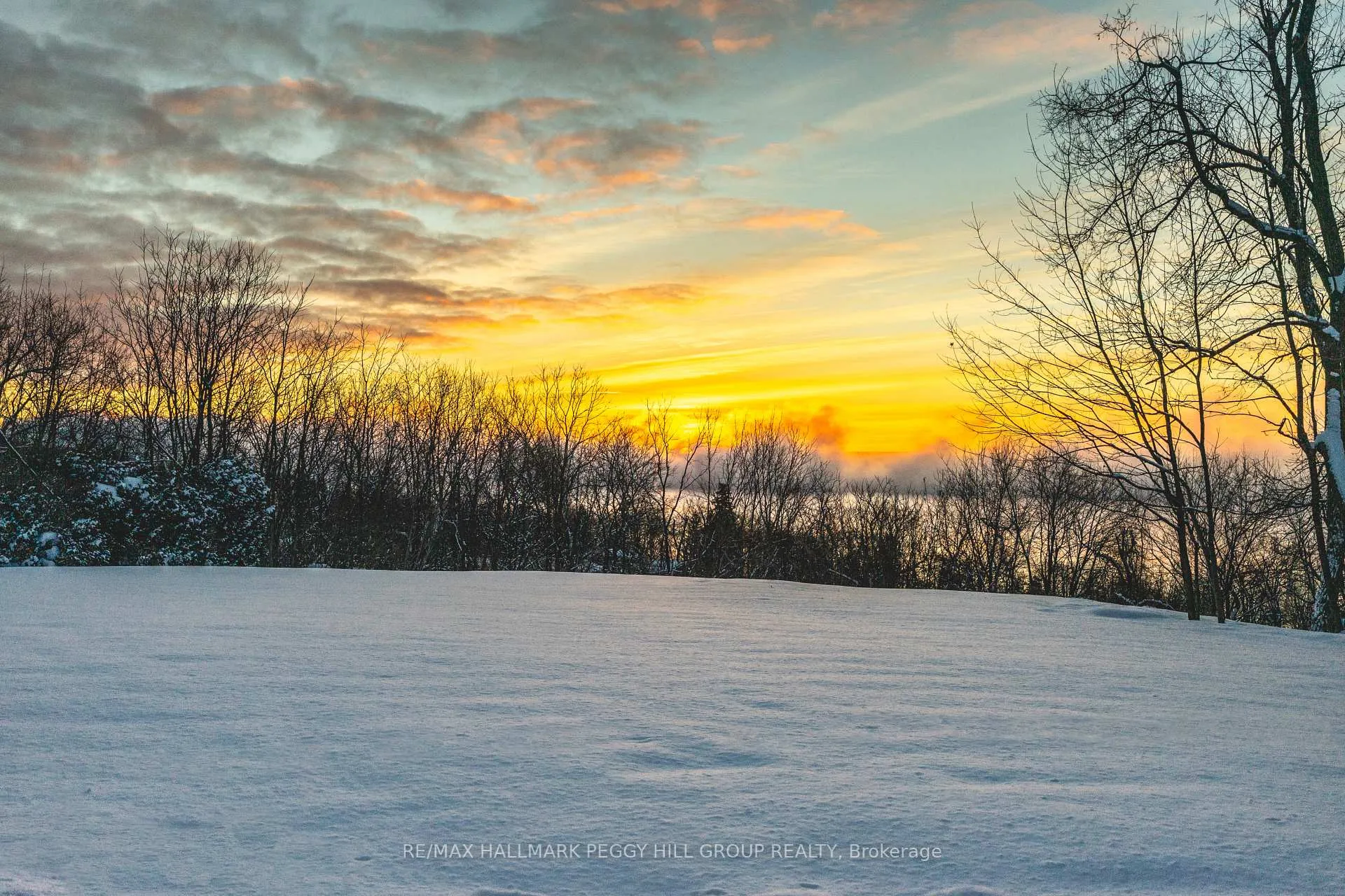 Photo 32 of 150 Collingwood Street, Barrie, Codrington — HOMEH
