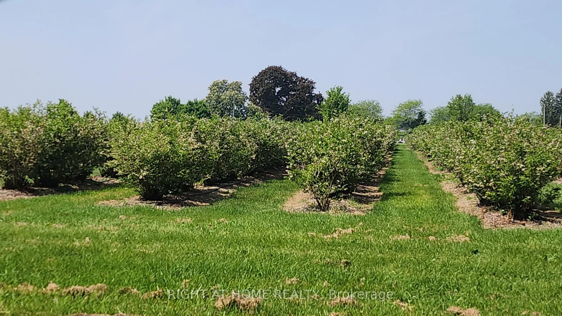 Photo 14 of 2853 Bellwood Drive, Clarington, Rural Clarington — HOMEH