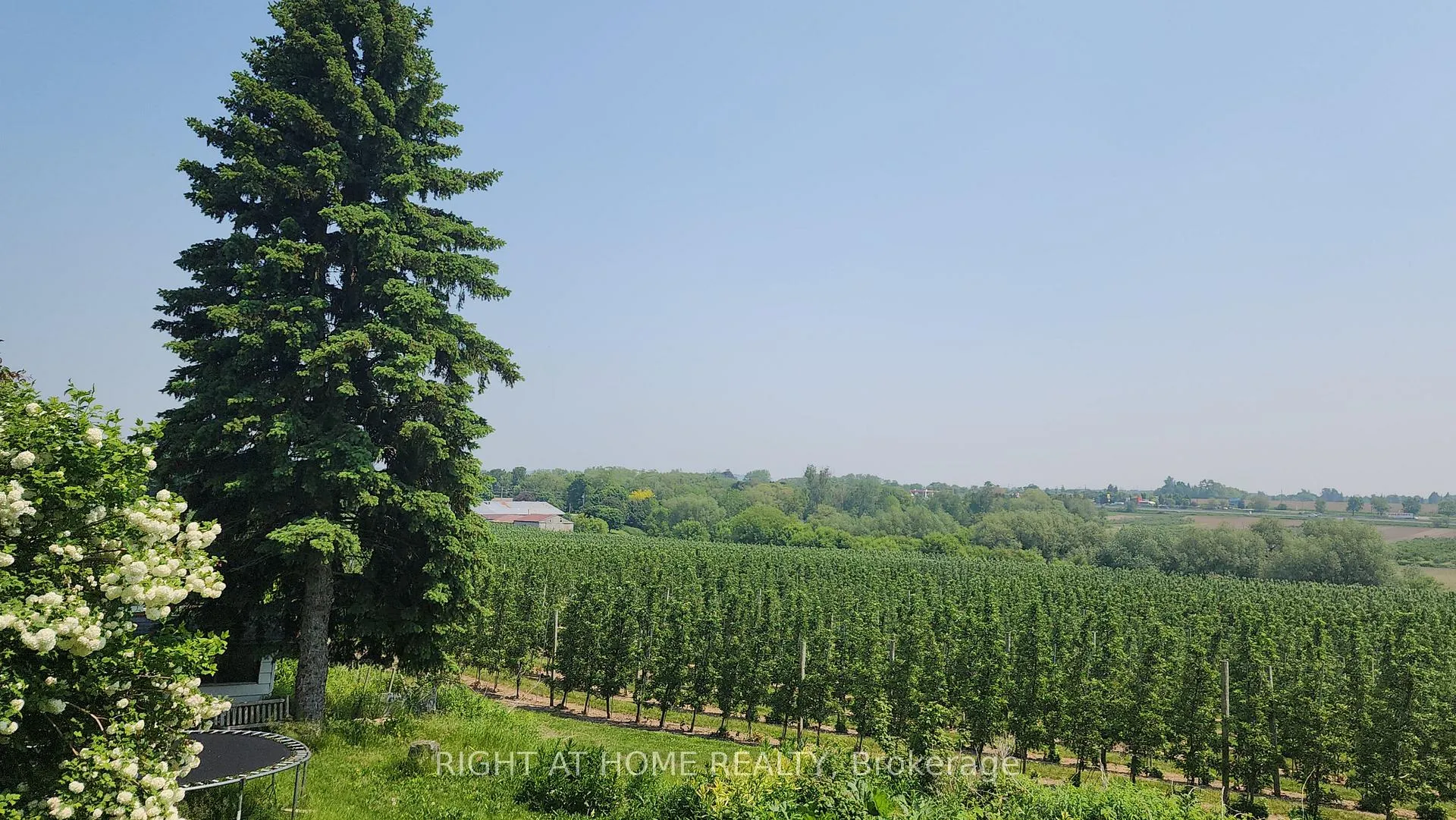 Photo 15 of 2853 Bellwood Drive, Clarington, Rural Clarington — HOMEH