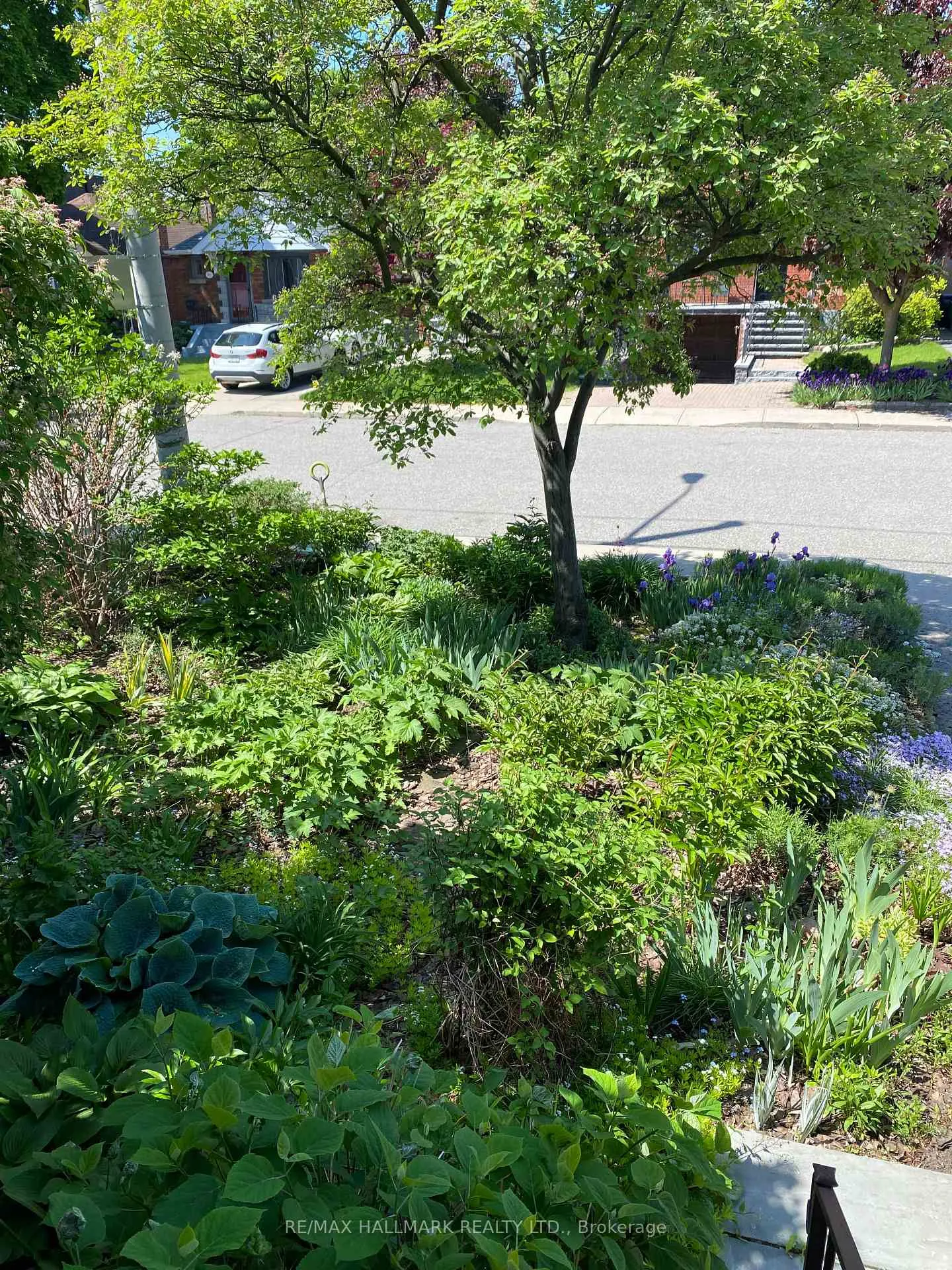 Photo 45 of 85 Roosevelt Road, Toronto, Danforth — HOMEH