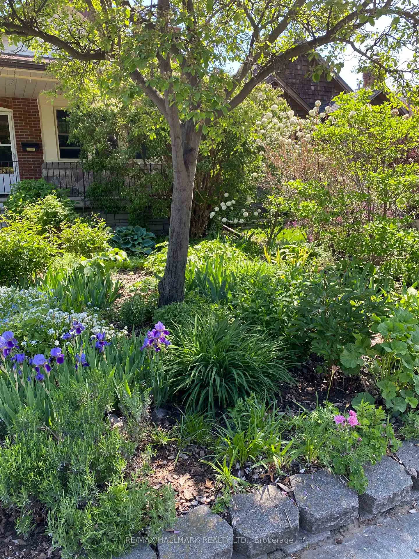 Photo 46 of 85 Roosevelt Road, Toronto, Danforth — HOMEH