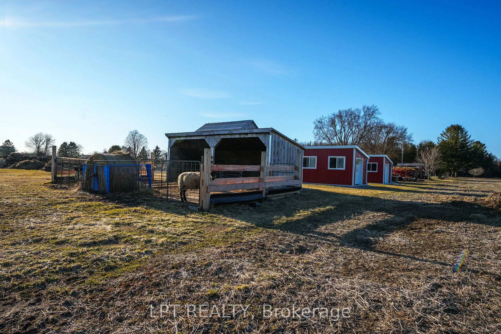 Photo 39 of 8923 Morning Glory Road, Georgina, Baldwin — HOMEH