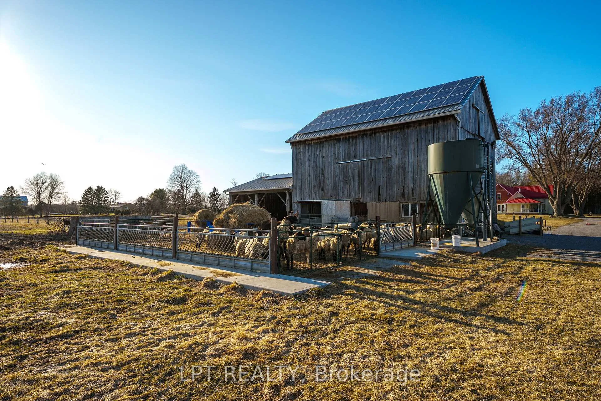 Photo 41 of 8923 Morning Glory Road, Georgina, Baldwin — HOMEH