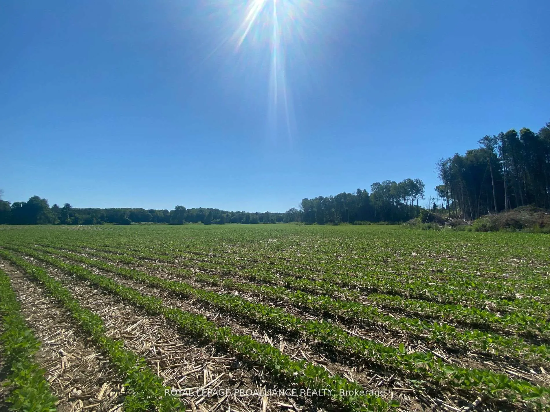 Photo 3 of PT LT 3 County Rd 45, Hamilton Township, Baltimore — HOMEH