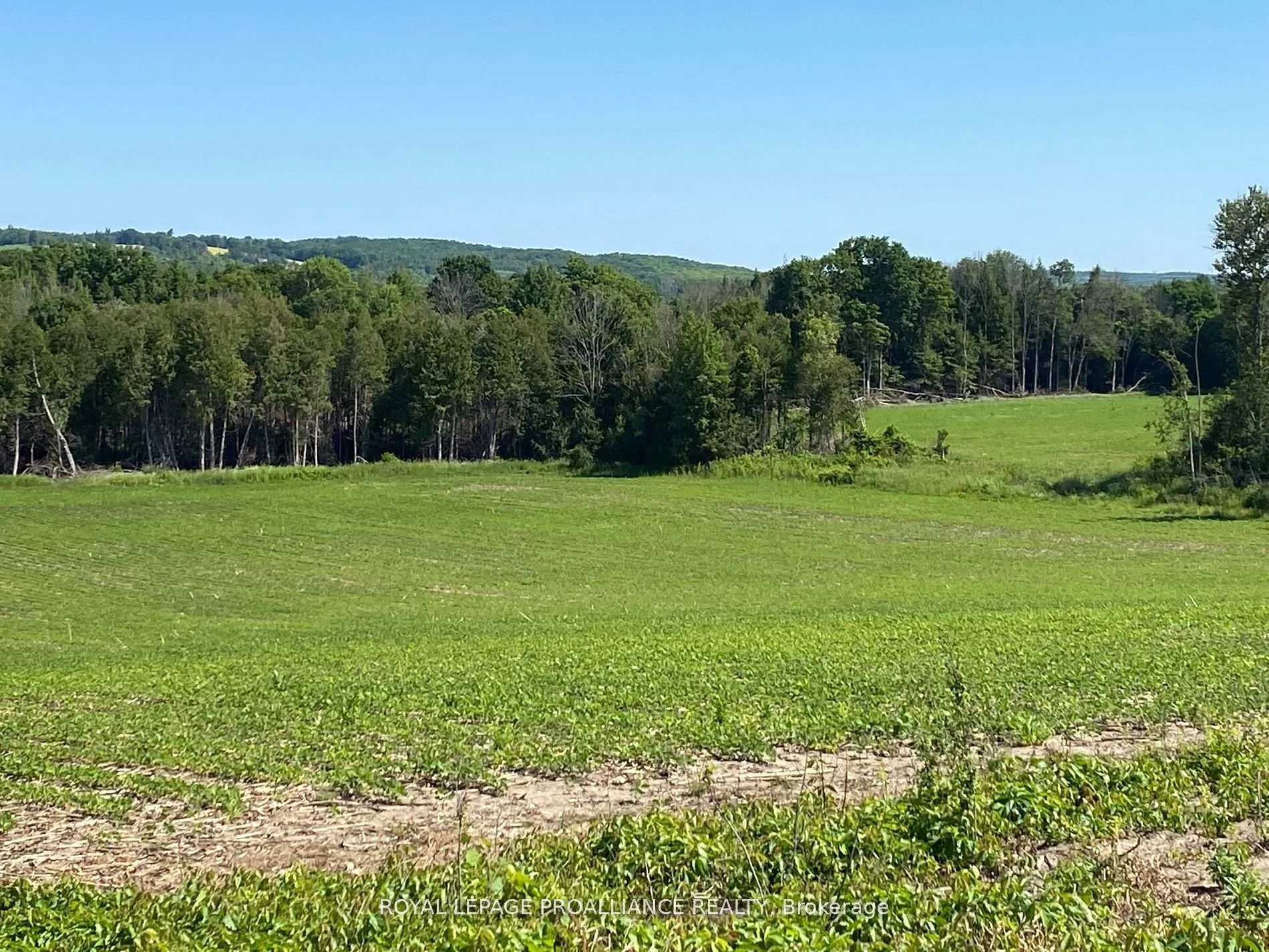 Photo 6 of PT LT 3 County Rd 45, Hamilton Township, Baltimore — HOMEH