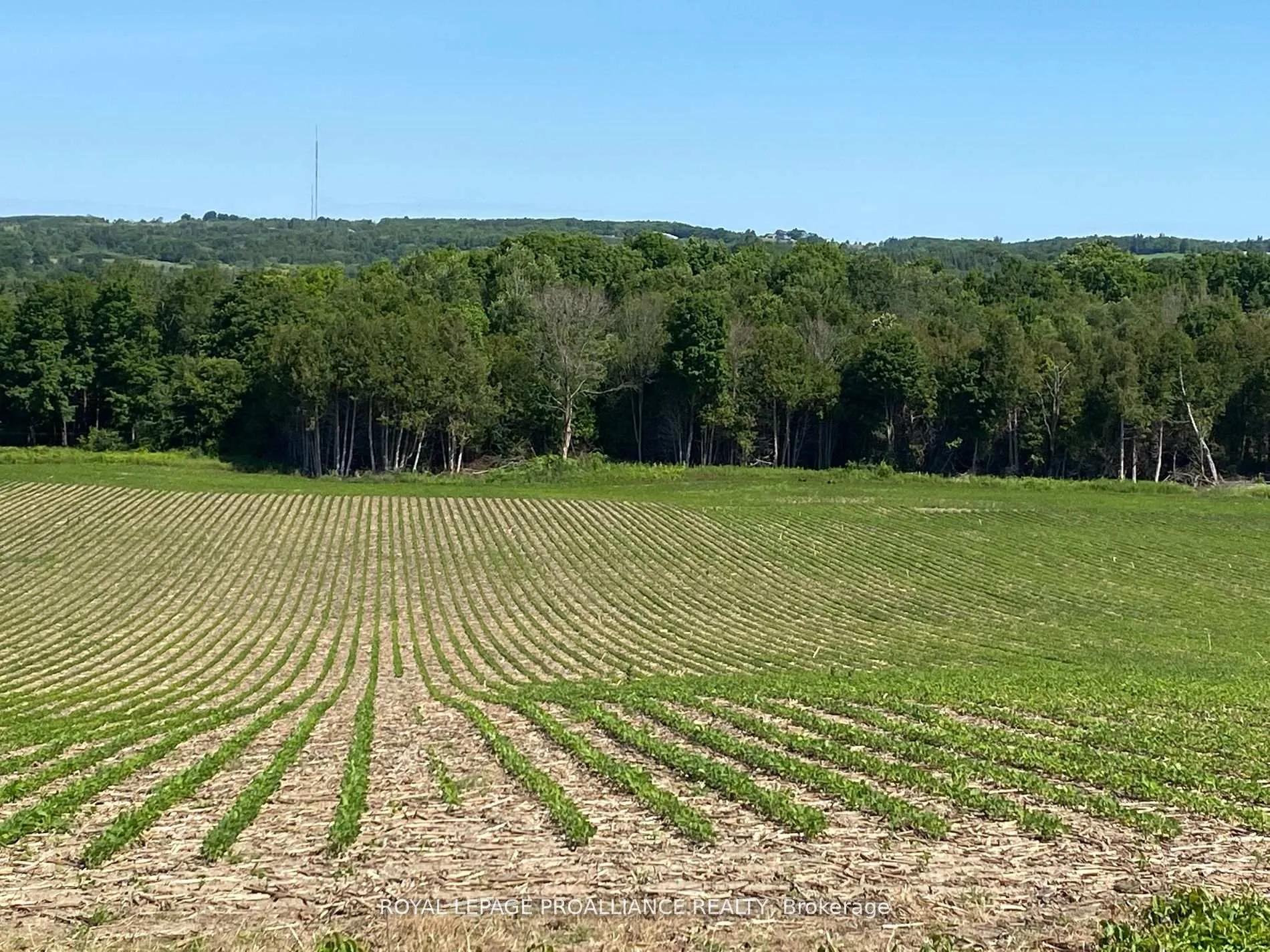 Photo 7 of PT LT 3 County Rd 45, Hamilton Township, Baltimore — HOMEH