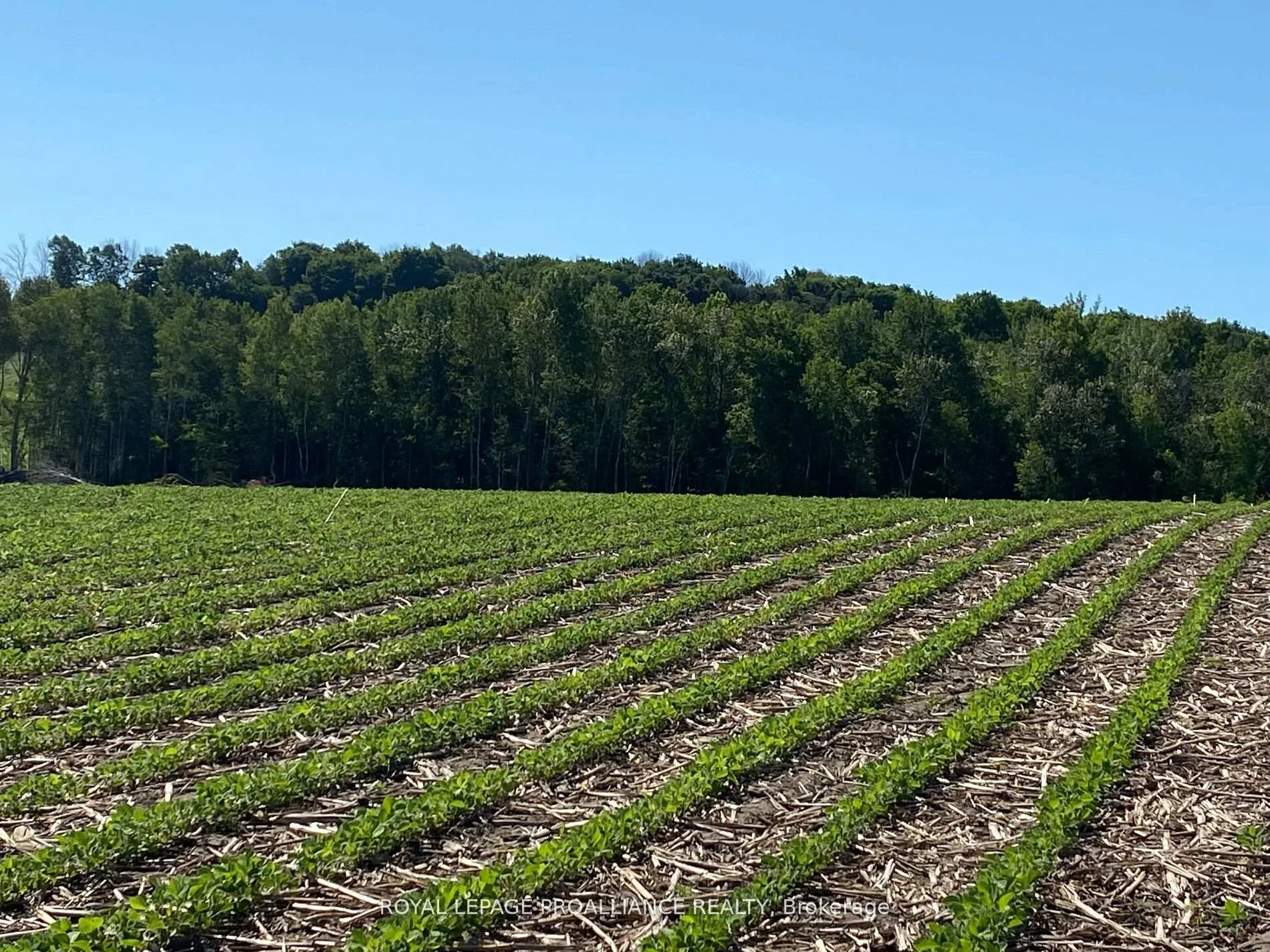 Photo 8 of PT LT 3 County Rd 45, Hamilton Township, Baltimore — HOMEH