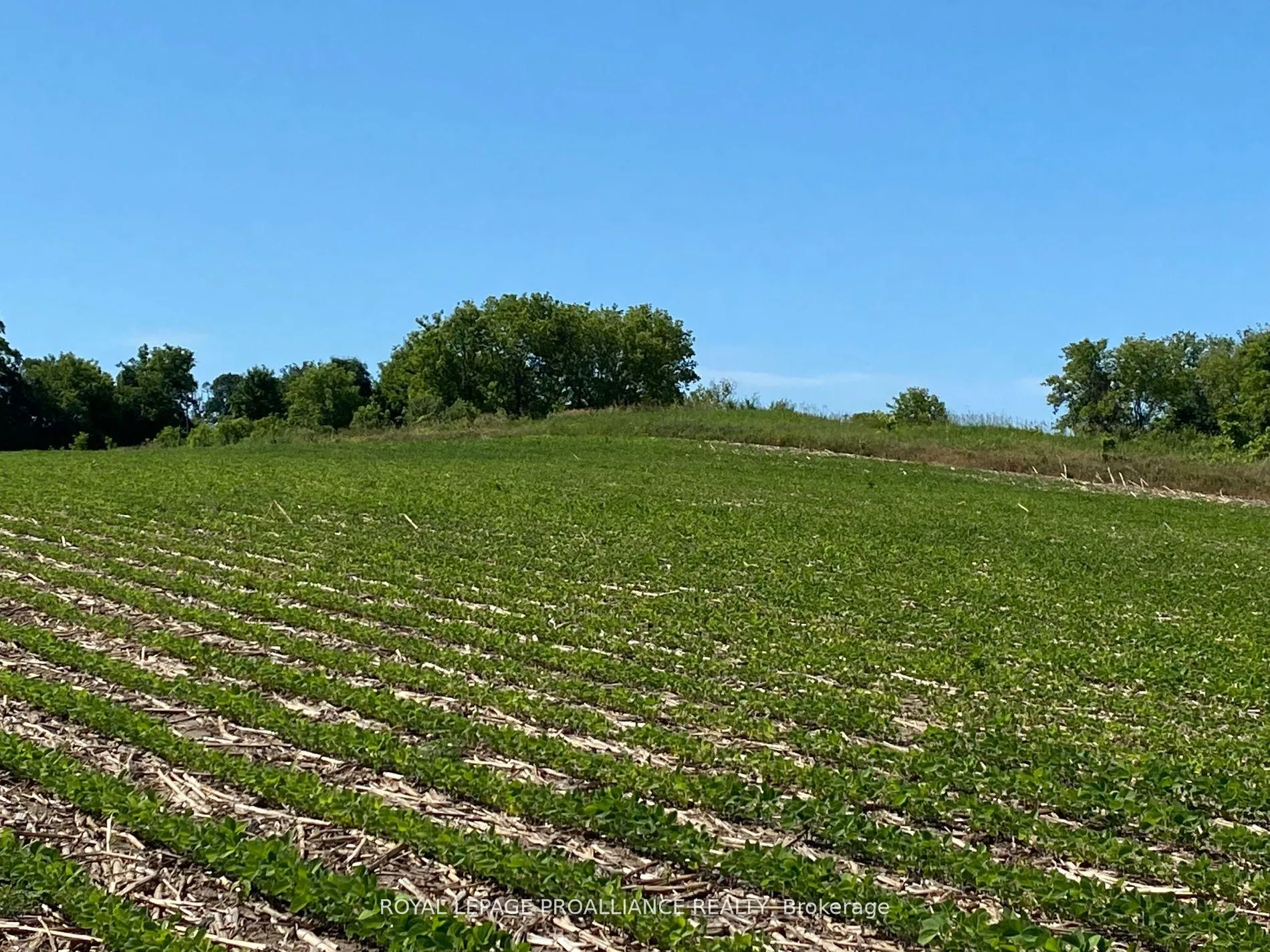 Photo 9 of PT LT 3 County Rd 45, Hamilton Township, Baltimore — HOMEH