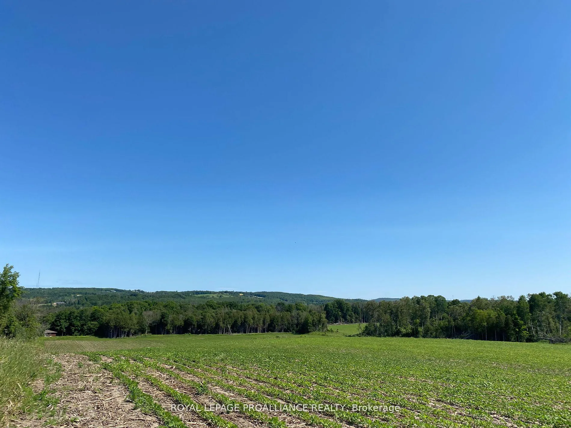 Photo 10 of PT LT 3 County Rd 45, Hamilton Township, Baltimore — HOMEH