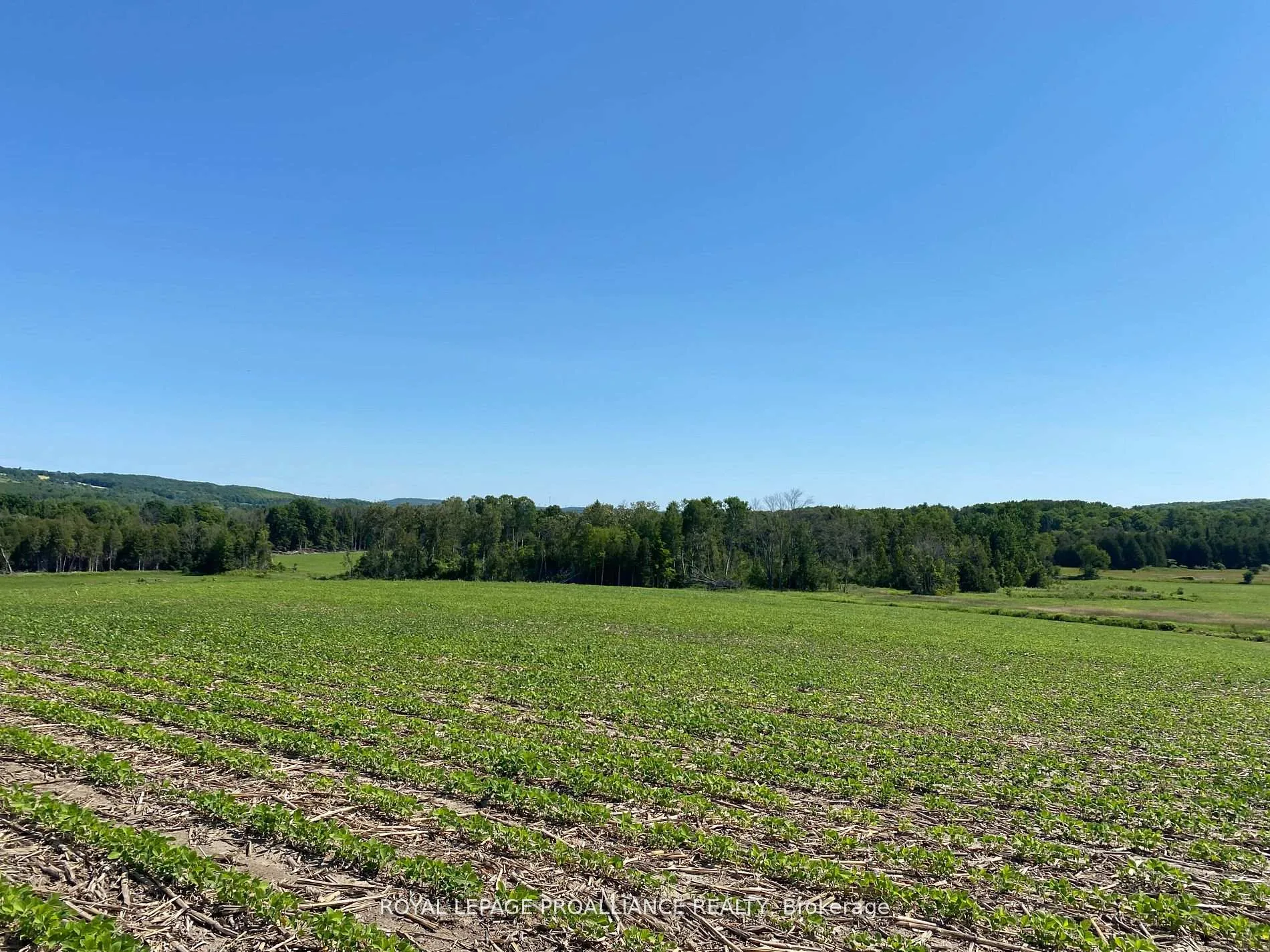 Photo 11 of PT LT 3 County Rd 45, Hamilton Township, Baltimore — HOMEH