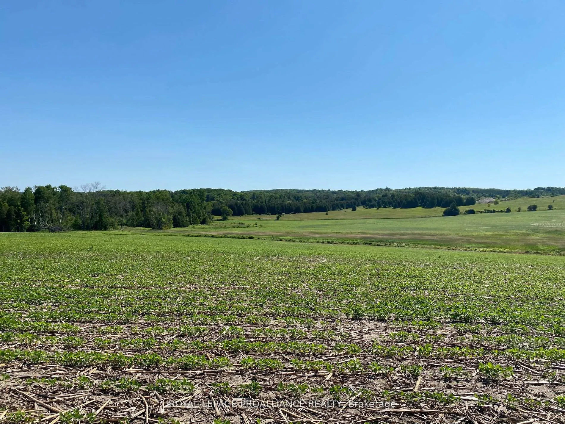 Photo 12 of PT LT 3 County Rd 45, Hamilton Township, Baltimore — HOMEH