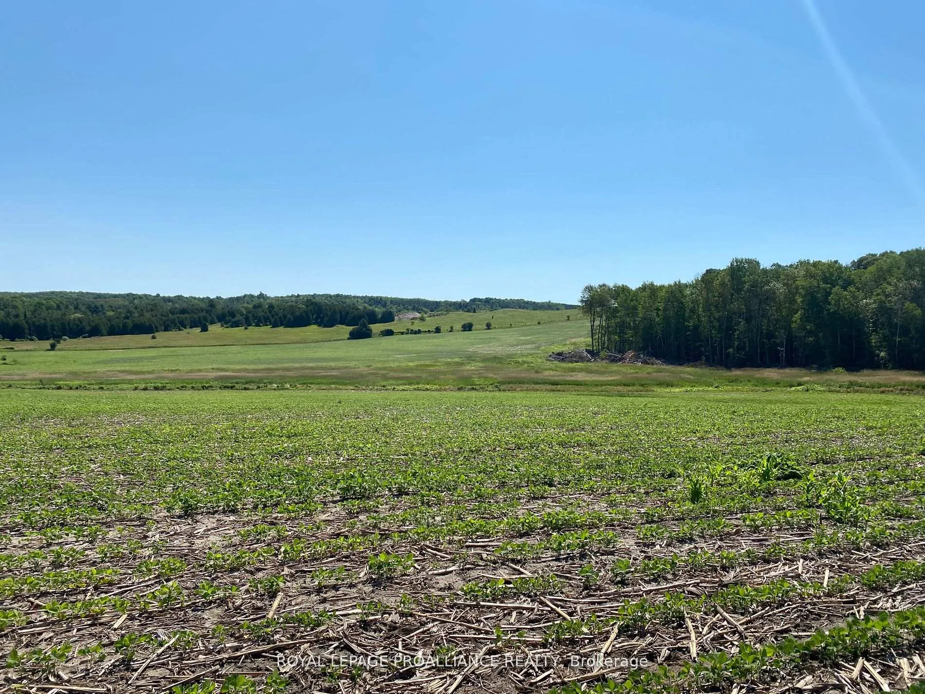 Photo 13 of PT LT 3 County Rd 45, Hamilton Township, Baltimore — HOMEH