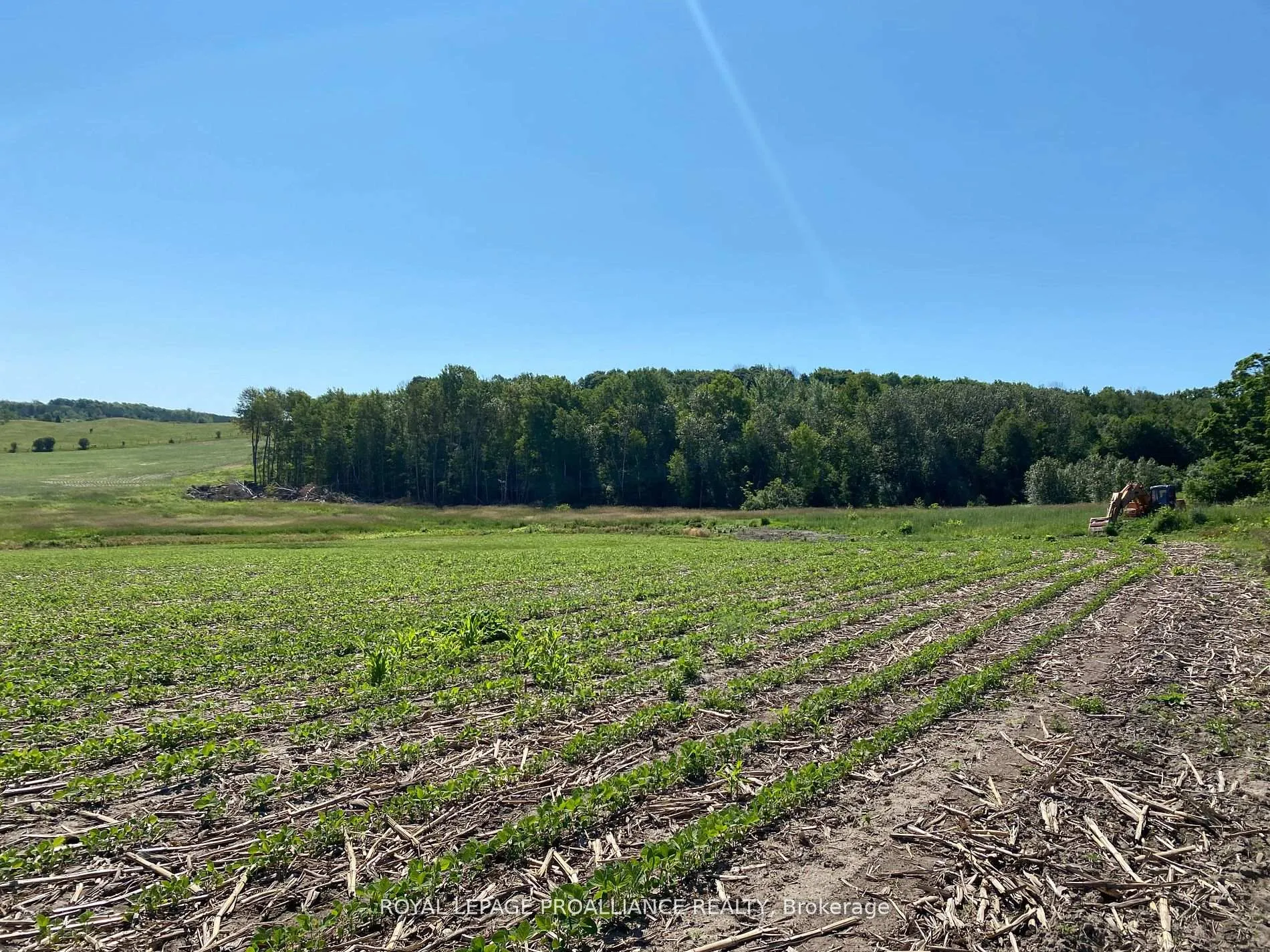 Photo 14 of PT LT 3 County Rd 45, Hamilton Township, Baltimore — HOMEH