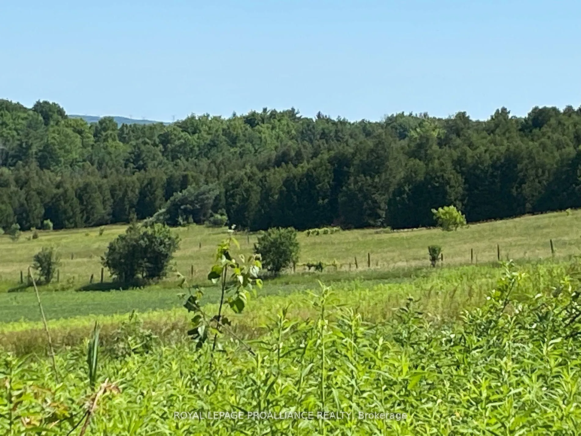 Photo 16 of PT LT 3 County Rd 45, Hamilton Township, Baltimore — HOMEH