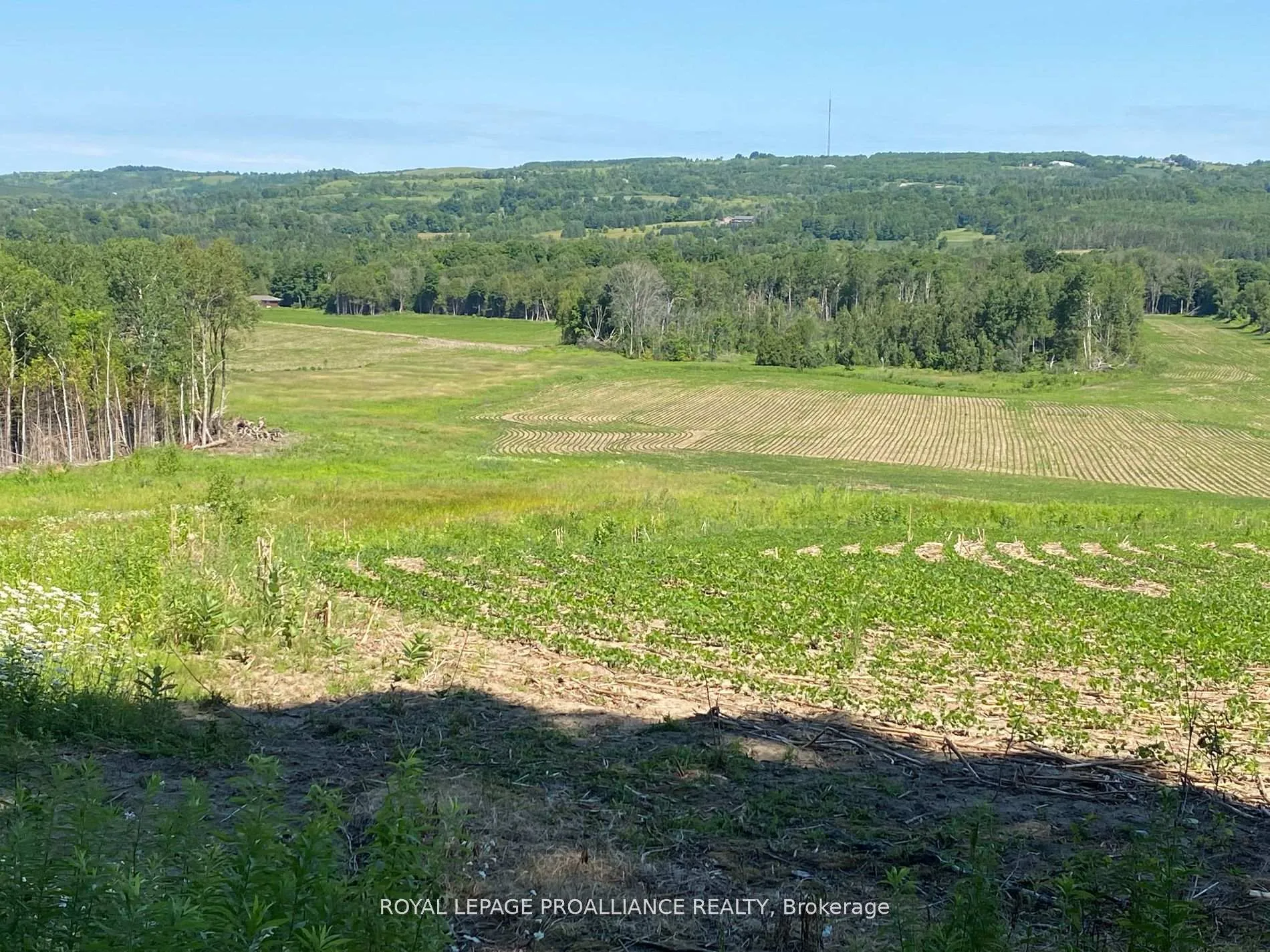Photo 25 of PT LT 3 County Rd 45, Hamilton Township, Baltimore — HOMEH