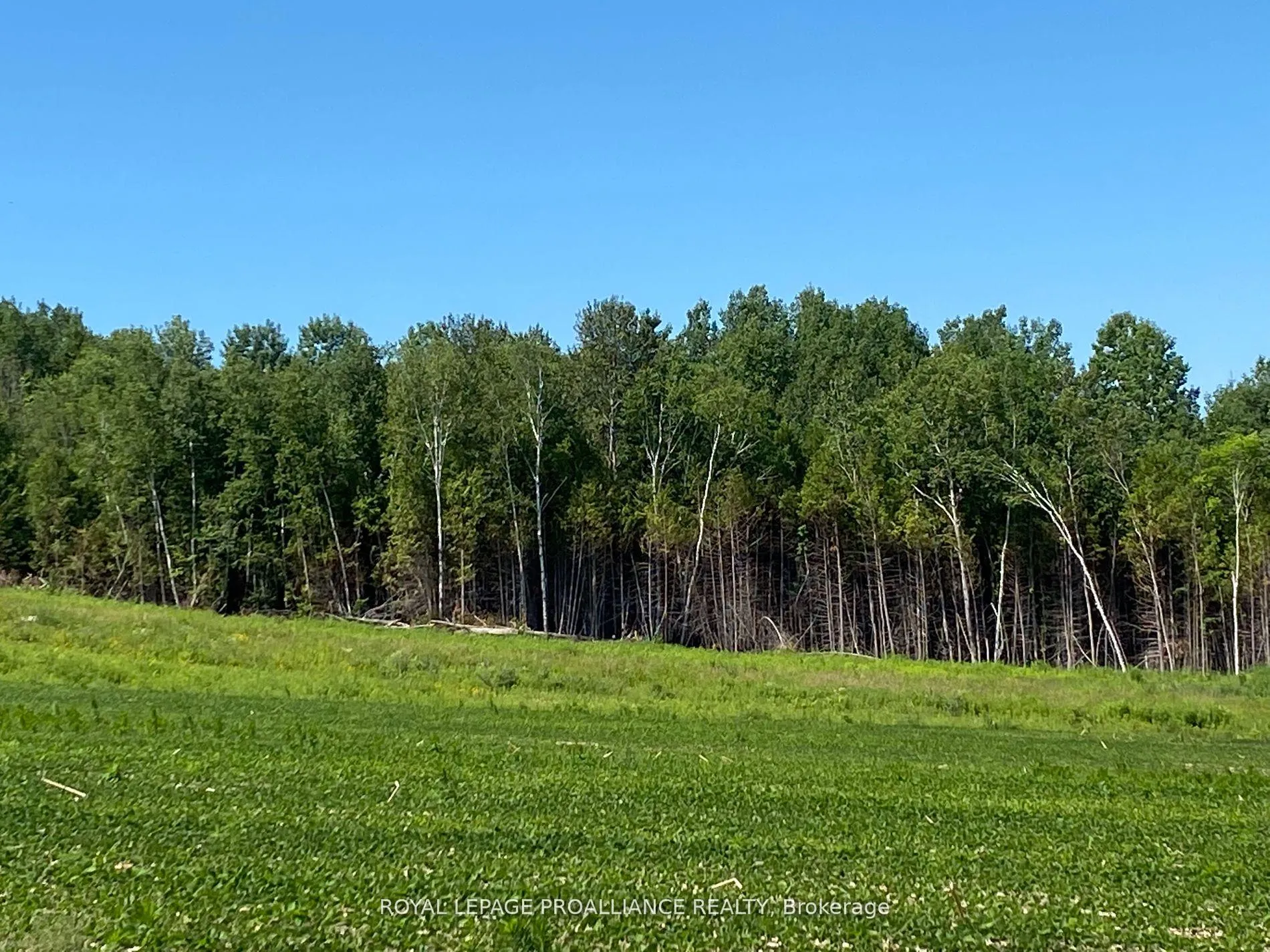 Photo 27 of PT LT 3 County Rd 45, Hamilton Township, Baltimore — HOMEH