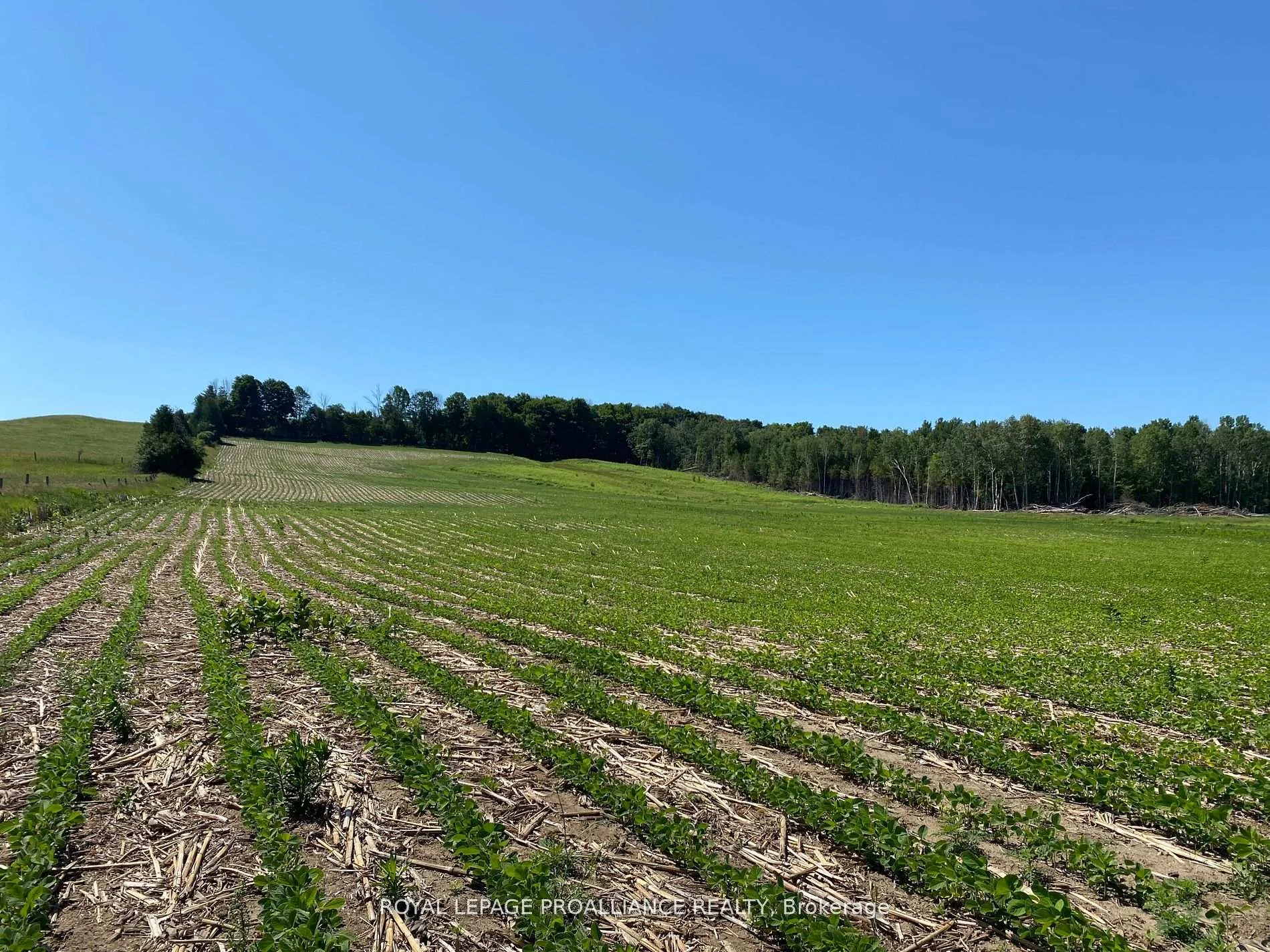 Photo 28 of PT LT 3 County Rd 45, Hamilton Township, Baltimore — HOMEH