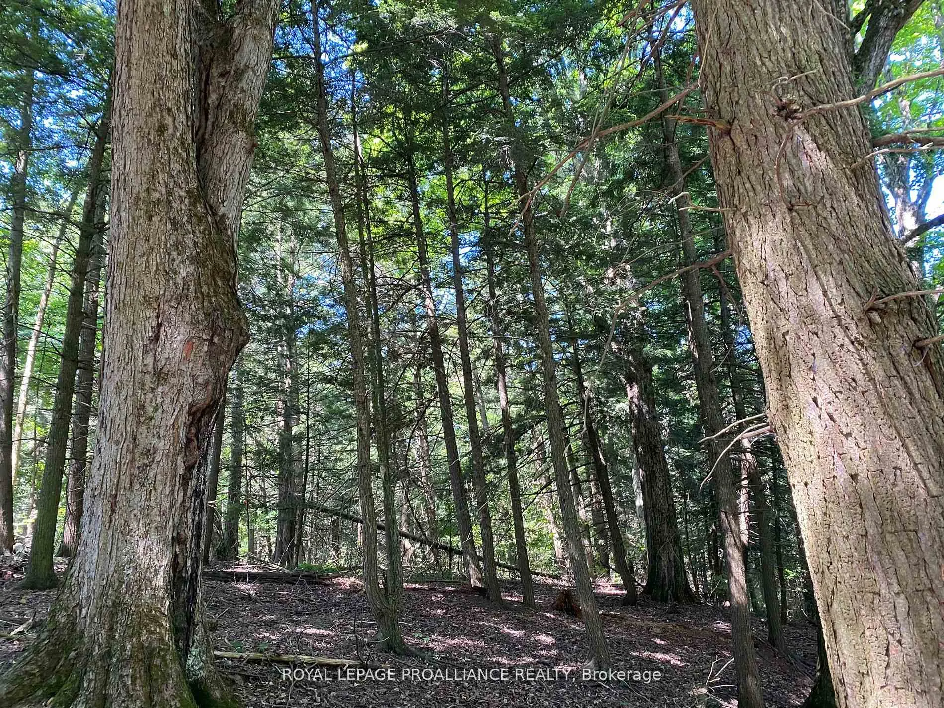 Photo 32 of PT LT 3 County Rd 45, Hamilton Township, Baltimore — HOMEH