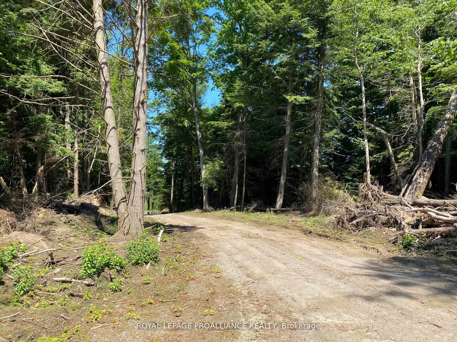 Photo 33 of PT LT 3 County Rd 45, Hamilton Township, Baltimore — HOMEH