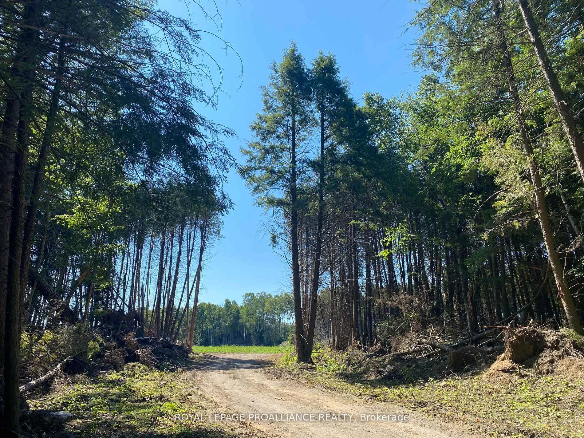 Photo 35 of PT LT 3 County Rd 45, Hamilton Township, Baltimore — HOMEH