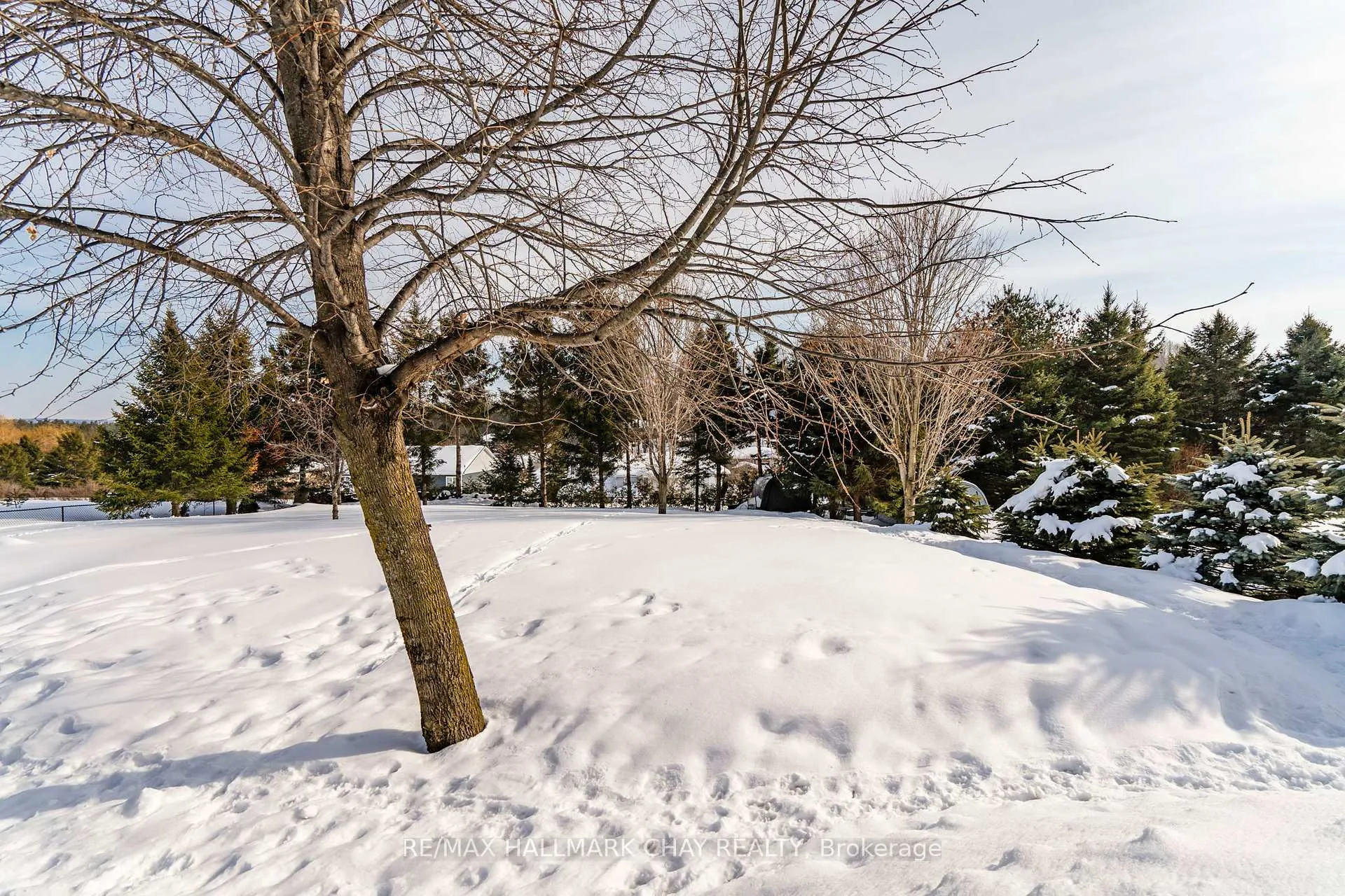Photo 35 of 48 Marlow Circle, Springwater, Hillsdale — HOMEH