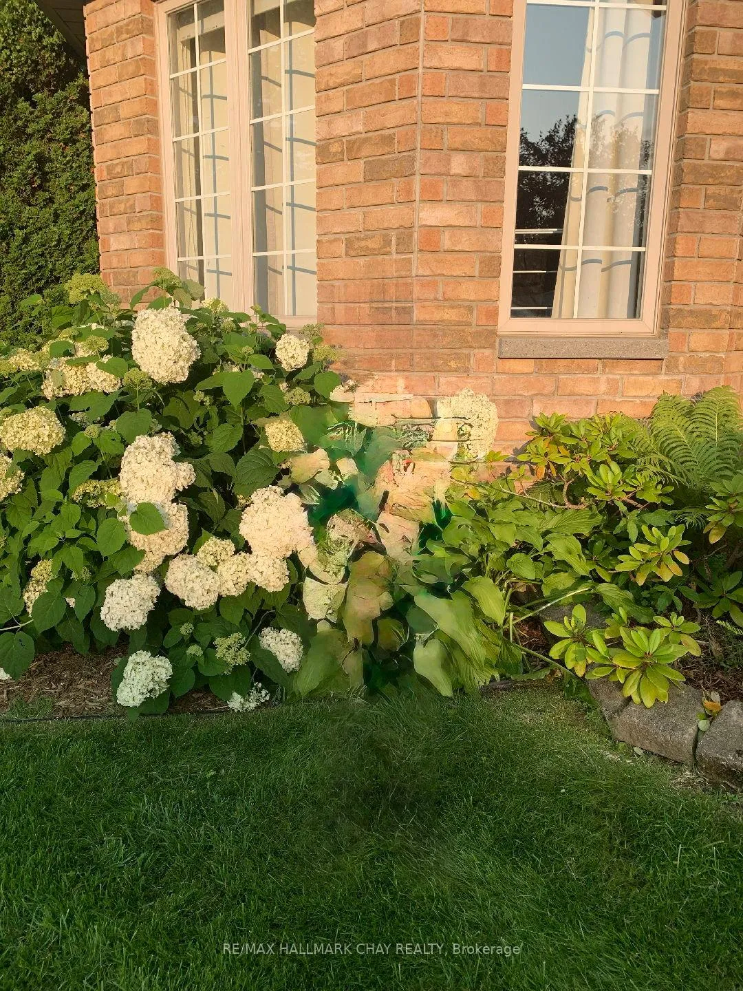 Photo 42 of 48 Marlow Circle, Springwater, Hillsdale — HOMEH