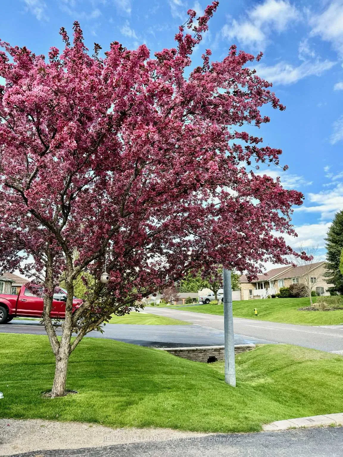 Photo 46 of 48 Marlow Circle, Springwater, Hillsdale — HOMEH